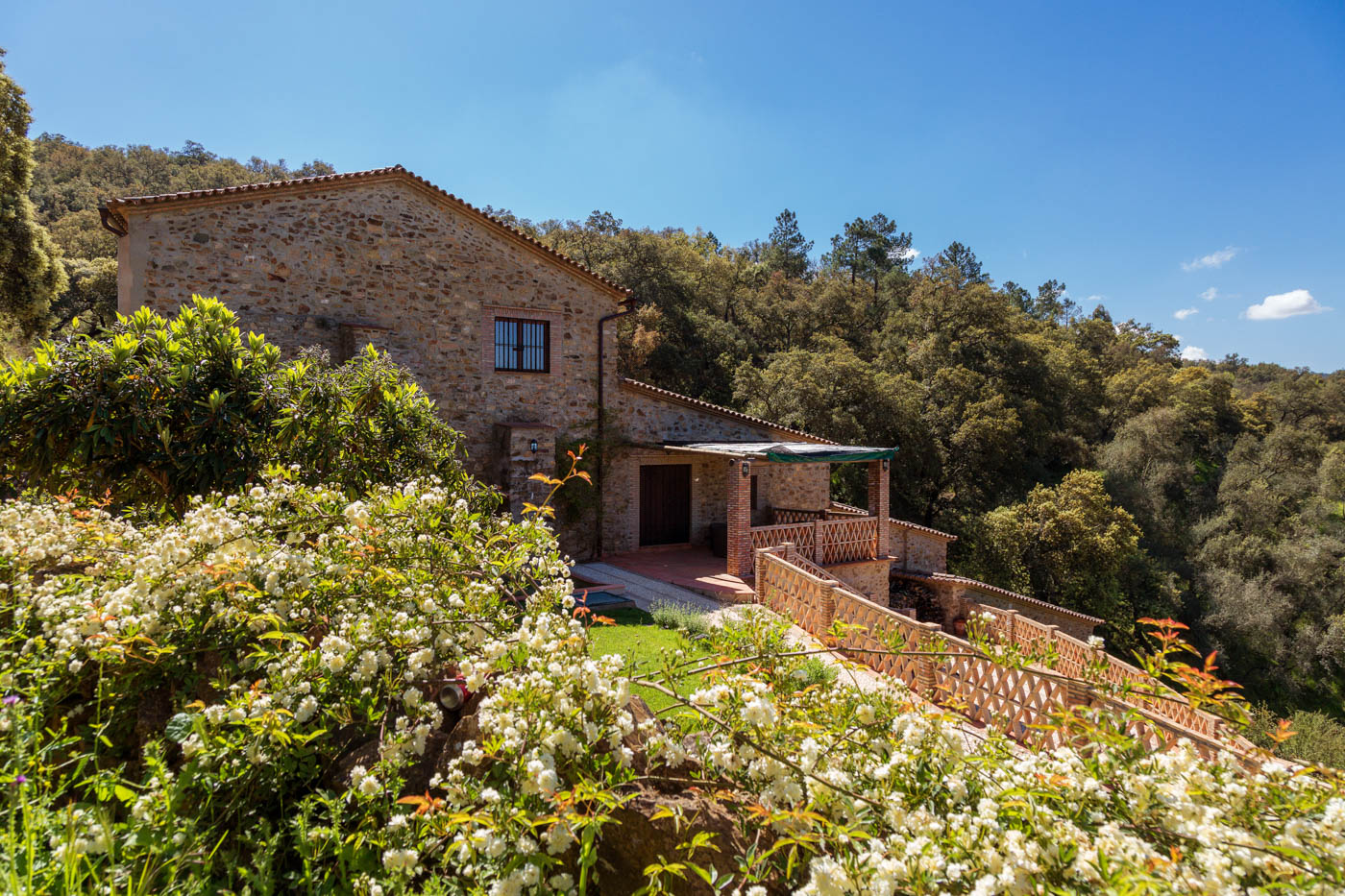 Main entrance and outdoor areas seen from pathway